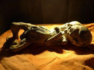 Weird And Unusual Two Headed Skull Alien Figure Black Magic