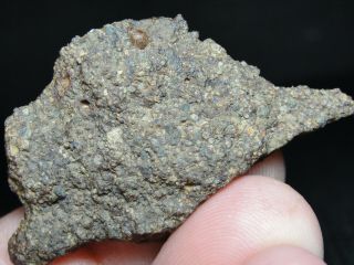 NWA 11291 Official Meteorite - LL3 - W2 - G637 - 0158 - 8.  59g w/COA - Great End Cut 2