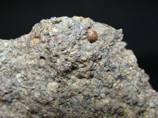 NWA 11291 Official Meteorite - LL3 - W2 - G637 - 0158 - 8.  59g w/COA - Great End Cut 4