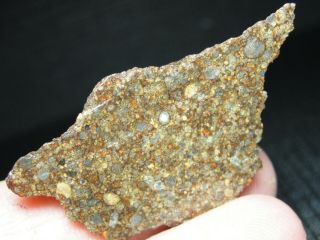 NWA 11291 Official Meteorite - LL3 - W2 - G637 - 0158 - 8.  59g w/COA - Great End Cut 5