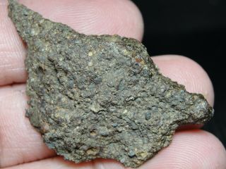 NWA 11291 Official Meteorite - LL3 - W2 - G637 - 0158 - 8.  59g w/COA - Great End Cut 6