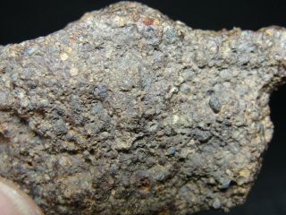NWA 11291 Official Meteorite - LL3 - W2 - G637 - 0158 - 8.  59g w/COA - Great End Cut 7
