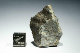 Tamdakt Meteorite Fragment Weighing 20g Fresh Chondrite Fall From 2008