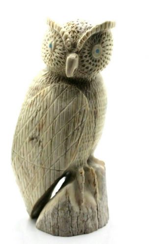 Zuni Owl Fetish By Chris Pena Carved In Antler Handmade Very Rare One Of A Kind
