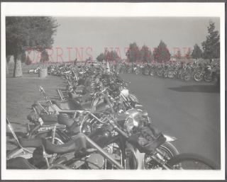 Vintage Photo Fleet Of Harley Davidson Motorcycles 759378