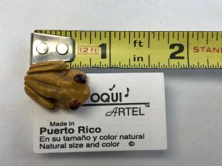 Coqui Artel Frog Pin (hand Made In Puerto Rico)