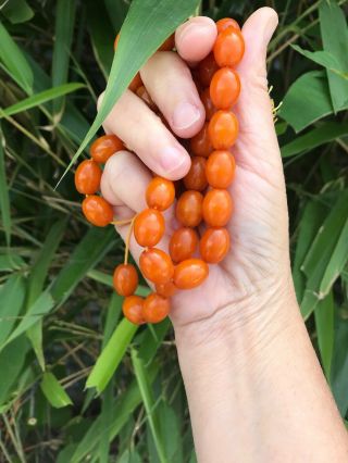 Vintage Faturan Islamic Prayer Beads - 33 beads - Butterscotch Bakelite 51 grams 2
