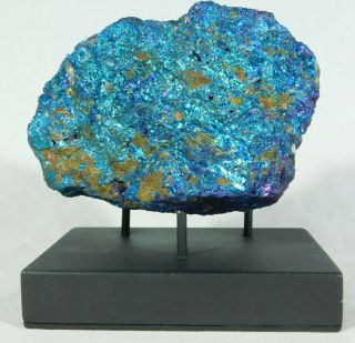 A Big Blue And Purple Peacock Copper Or Chalcopyrite Or Peacock Ore 1011gr E