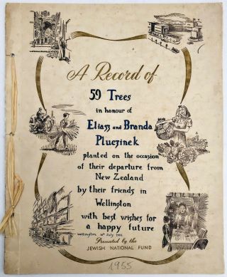 Israel Kkl/jnf 1955 A Record Of 59 Trees From Zealand Special Certificate