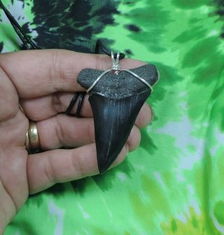 Mako Sharks Tooth Necklace 2 3/16  Fossil Sharks Teeth Jewelry Pendant