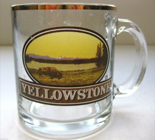 Pre - Owned “yellowstone” Souvenir Glass Mug