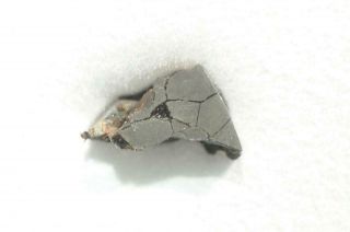 Miles Iron Meteorite Part Slice Weighing 0.  75g Found Australia 1992
