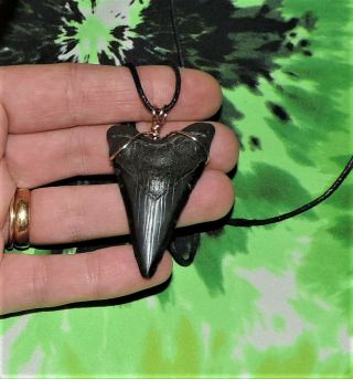 2 1/8  Megalodon Sharks Tooth Necklace Jewelry No Restorations Fossils