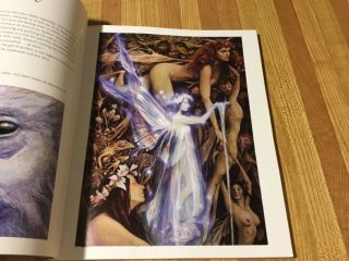 Good and Bad Faeries by Brian Froud Edited by Terry Windling 3