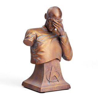 Star Trek Tng Captain Picard Facepalm Bust Statue Bronze Resin Edition,  6 "