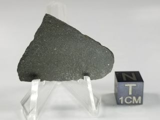 Nwa 8737 Carbonaceous Chondrite Co 3.  0 Morocco 4.  20 Gram Slice