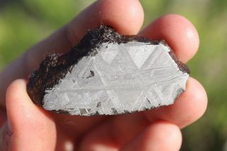 Muonionalusta Meteorite Etched Full Slice 22.  2 Grams