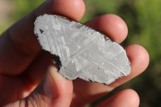 Muonionalusta meteorite etched full slice 22.  2 grams 3