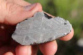 Muonionalusta meteorite etched full slice 22.  2 grams 4