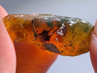 2g Raw Stone 2 Unique Flowers Burmite Myanmar Amber Insect Fossil Dinosaur Age