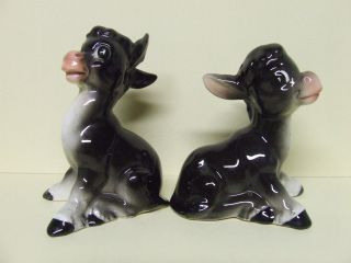Vintage Donkey/ass/mule Salt And Pepper Shakers (japan)