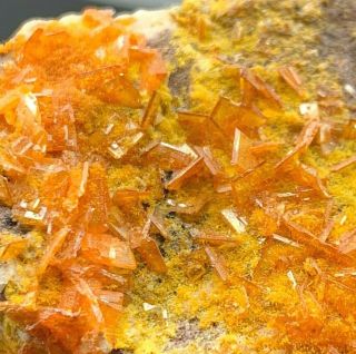 Wulfenite With Mimetite On Barite Rowley Mine,  Arizona Fine Mineral Specimen