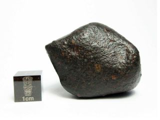 Nwa X Meteorite 47.  42g Fresh Fusion Crusted Rock From Space