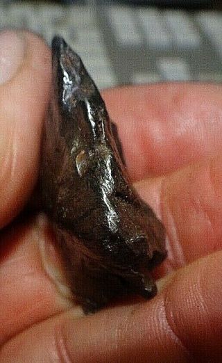 45 gm.  SIKHOTE ALIN IRON METEORITE ; TOP GRADE; RUSSIA WITH STAND; MUSEUM GRADE 5