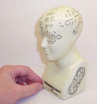 Decorative Ceramic Bust Phrenology Head Display/medical Prop