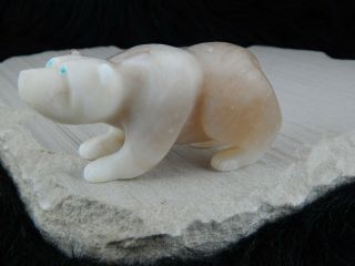 Bear Zuni Fetish Carving - Nelson Yatsattie