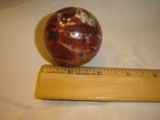 Petrified Wood Polished Round Sphere Ball 2 " Diameter 5.  4 Oz.