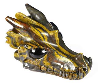 5.  4 " Colorful Tiger Iron Eye Carved Crystal Dragon Skull,  Black Obsidian Eyes