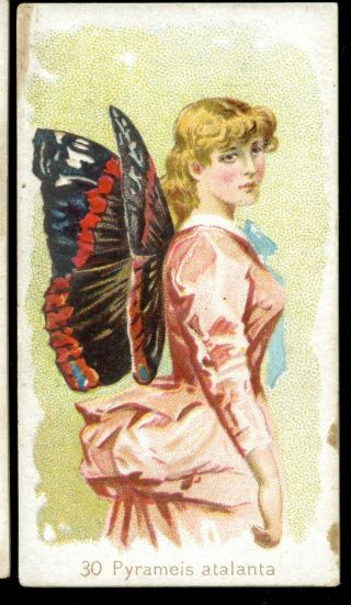 1888 N183 Wm S.  Kimball Cigarettes Butterflies - 30 Pyrameis Atalanta