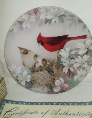 Morning Serenade Plate By Lena Liu First Issue In Nature 