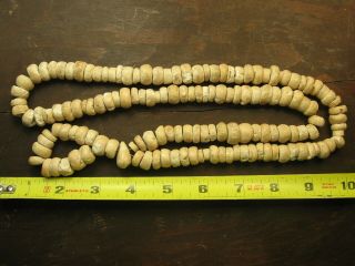 Large 18 Inch Mississippian Culture Shell Bead Necklace
