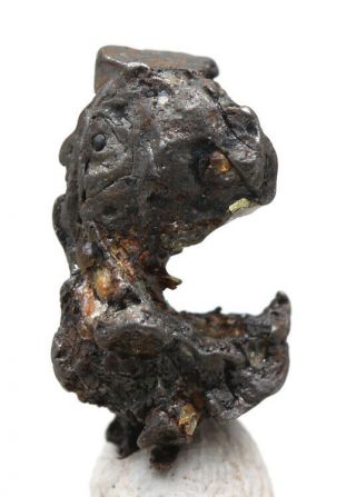 Sericho Iron Meteorite Pallasite Skeleton Olivine Crystals Specimen Meteor Kenya