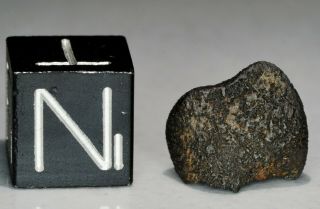 Aguas Zarcas Costa Rica Cm2 Classified Carbonaceous Chondrite Meteorite 0.  74g