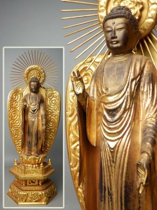 Japanese C1800 Crystal Eyes Gyokugan Buddhist Amida Nyorai Buddha Statue Wood Nr