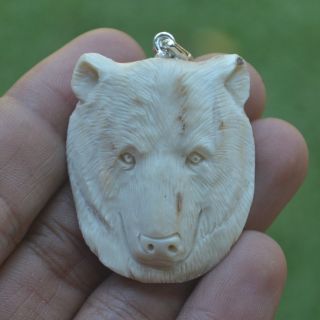 Bear Head Carving 40x33mm Pendant P3647 W/ Silver In Antler Hand Carved