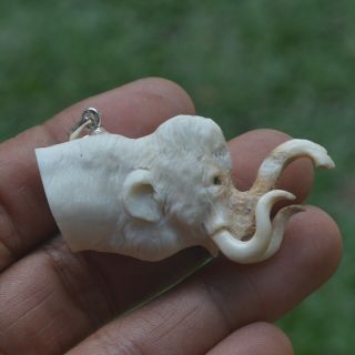 Mammoth Head Carving 53mm Length Pendant P4333 W/ Silver In Antler Carved