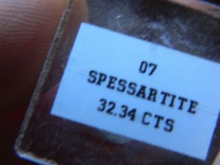 Spessartite garnet specimen,  loliondo,  Tanzania,  32.  34cts. 3