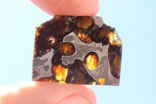 Brenham Meteorite Pallasite Part Slice 4.  3 Grams