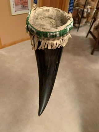 Authentic Sioux Decorated Buffalo Horn W/ Old Beads (1890 - 1916) -