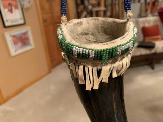 Authentic Sioux Decorated Buffalo Horn w/ Old Beads (1890 - 1916) - 5
