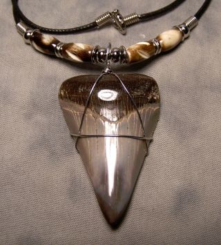 2 1/8 " Megalodon Shark Tooth Teeth Necklace Huge Fossil Jaw Meg Jewelry Diver