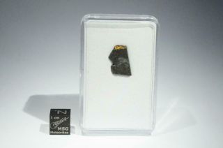 Kainsaz Meteorite Part Slice 0.  53g Fell 1937 Russia Co3.  2 Carbonaceous Chondrite