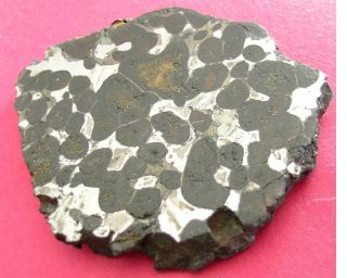 Sericho Pallasite Meteorite - 46.  1 Gram Polished Slice