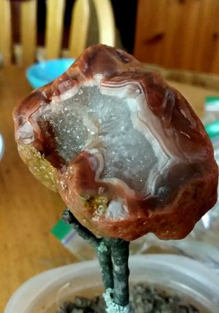 Lake Superior Agate 3.  8 Ounce Awesome Geode,  Banded Well Laker,  Top Shelf Geod