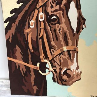 Vintage 1950 ' s Paint By Number Oil Painting of Horse 9 X 12 3