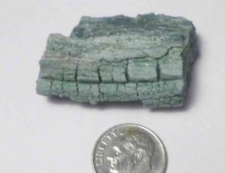 39mm Chromium Extremely Rare Green Petrified Wood Limb Arizona 18.  8g